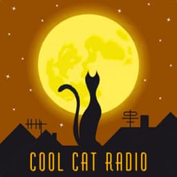 Cool Cat Radio