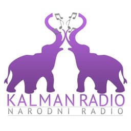 Kalman Radio-91.5 FM