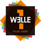 Welle1