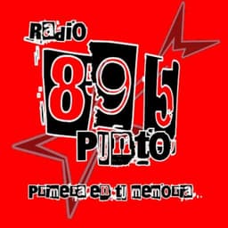 Radio89punto5