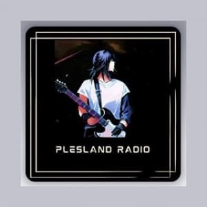 Plesland Radio