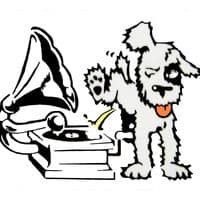 Dead or Allive