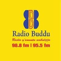 Radio Buddu 98.8FM and 95.5FM