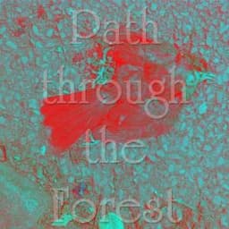 path_through_the_forest