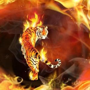 firefm