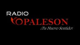 Radio VOPALESON