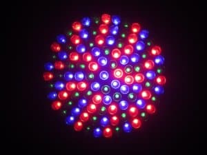 hed kandi club
