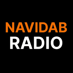 NaviDAB radio