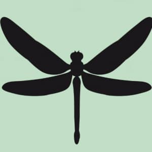 Radiolibel