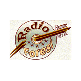 Forest 2.0 Hamme