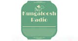 Kungaloosh Radio